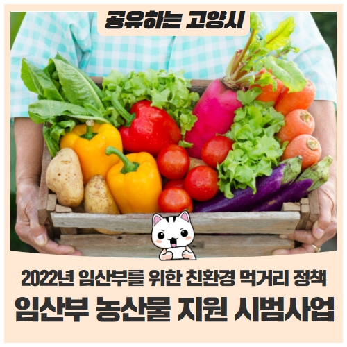 2022년 임산부 친환경농산물 지원 시범사업 2022년 임산부 친환경농산물 지원 시범사업