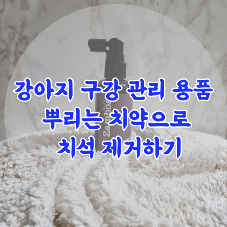  강아지 구강 관리 용품 추천 뿌리는 치약으로 치석 제거하기