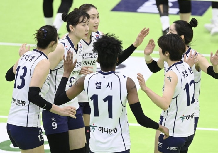 KOVO 프로배구 국내 남자배구 우리카드 KB손해보험 여자배구 흥국생명 도로공사 KOVO 프로배구 국내 남자배구 우리카드 KB손해보험 여자배구 흥국생명 도로공사