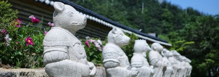  모든 띠중에 고양이띠만 없는 이유 (12지신 설화)