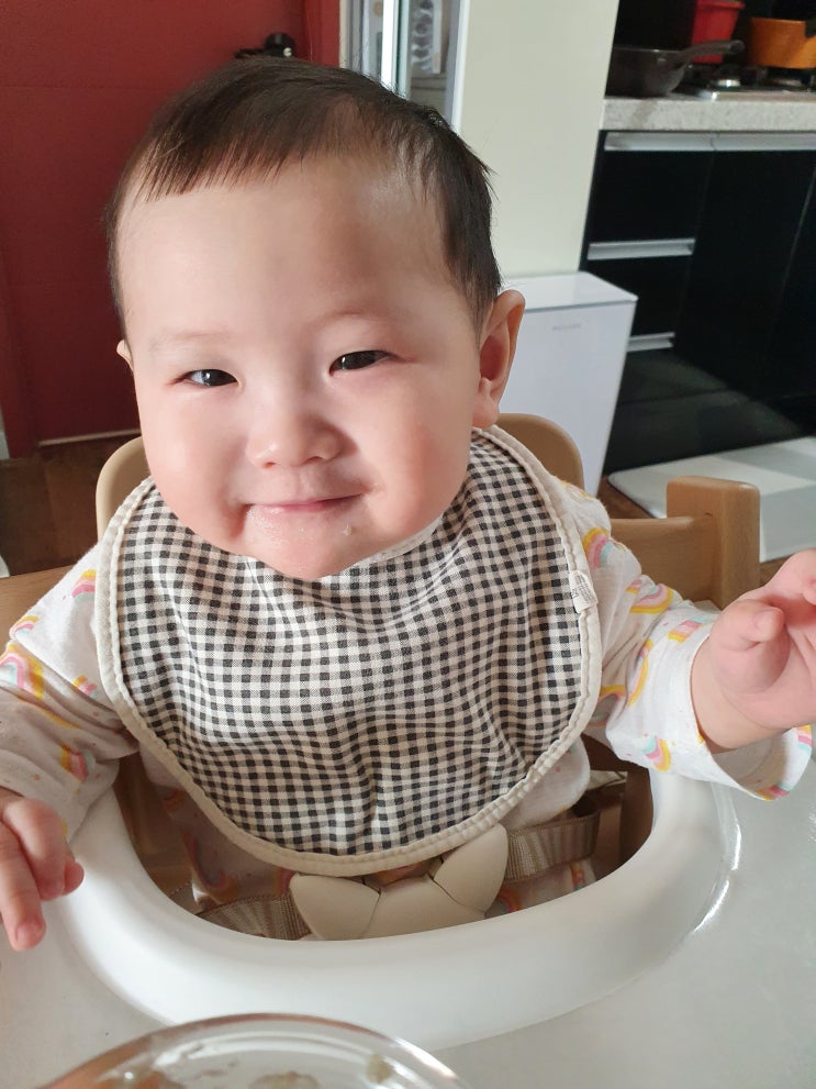  [이유식 중기] 267일 베이비무브로 만드는 소고기양파청경채보리가지죽과 소고기보리브로콜리비트배추현미차조죽
