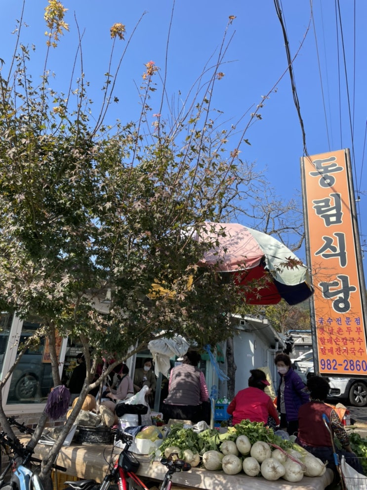  [대구 팔공산] 팔공산 단풍구경, 파전과 칼국수가 맛있는 가성비 맛집 동림식당