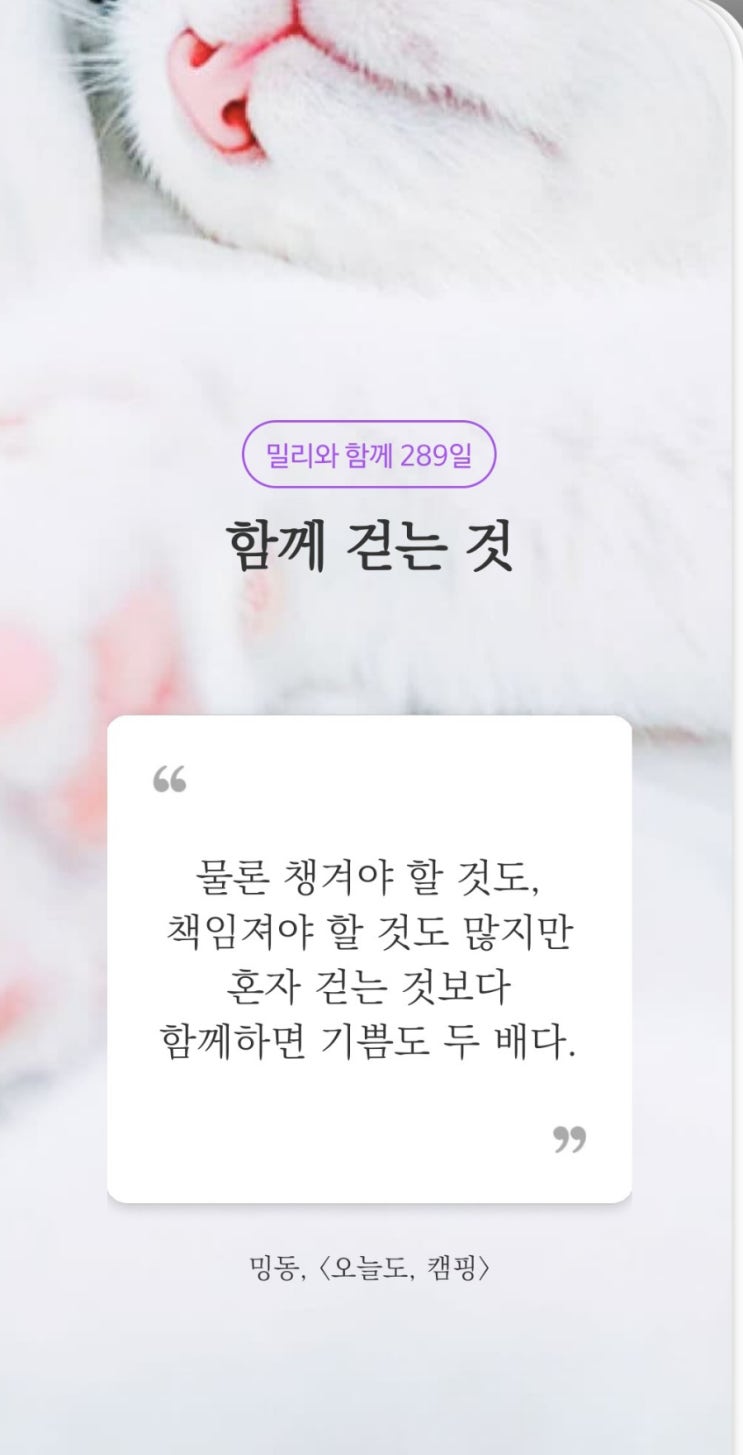  함께 걷는 것