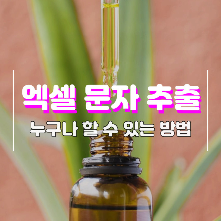 엑셀 문자 추출 누구나 할 수 있어요 엑셀 문자 추출 누구나 할 수 있어요