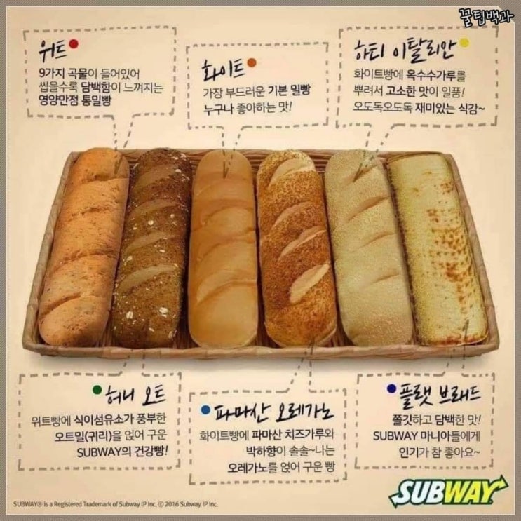 서브웨이 추천 /서브웨이 조합 추천 /서브웨이 초보 서브웨이 추천 /서브웨이 조합 추천 /서브웨이 초보