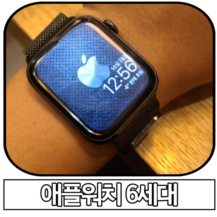  애플워치 6세대를 지금 사야하는 이유? (7세대 배터리 CPU 비교)
