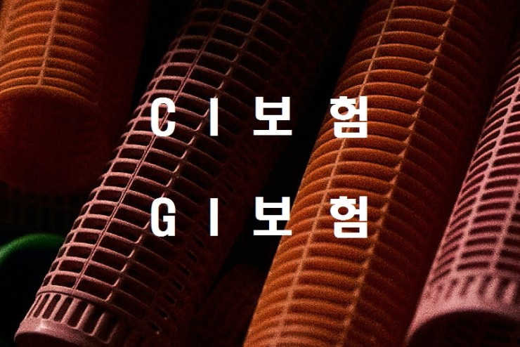  2022년 CI(Critical Illness)보험의 단점을 GI(General Illness)보험이 보완