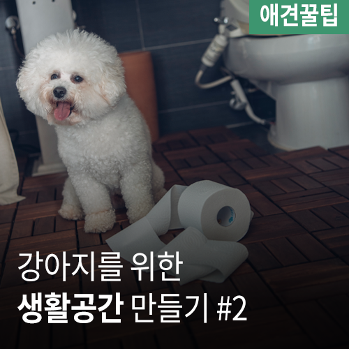  강아지를 위한 생활공간 만들기 #2 [부엌과 욕실 등]