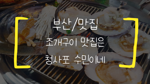  [부산/맛집] 청사포 수민이네