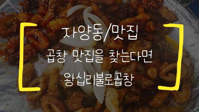  [자양동/맛집] 왕십리 불로곱창