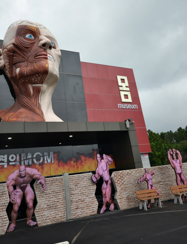 신비로운 인체에 대해 체험해볼 수 있는 제주도 뮤지엄 몸~◈ 여수 제주도 배편