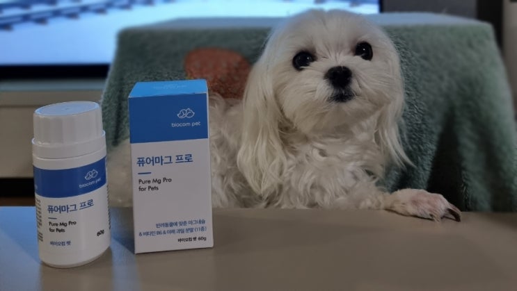  눈물 자국 심한 강아지 항산화 영양제로 마그네슘까지 한번에 섭취하기