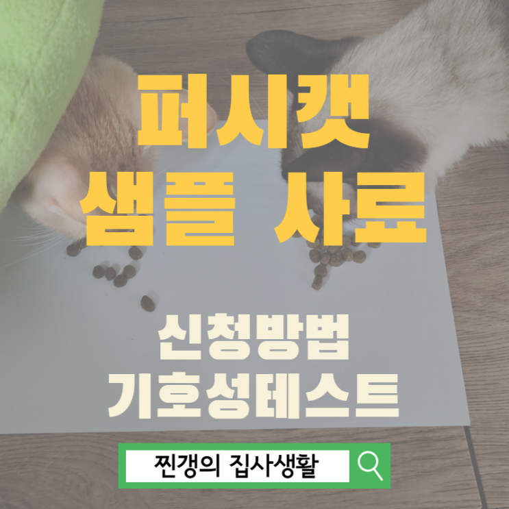  퍼시캣 샘플사료 신청과 기호성테스트 해봤어요