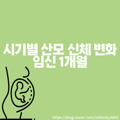  임신초기 증상, 산모 신체 변화 -1개월