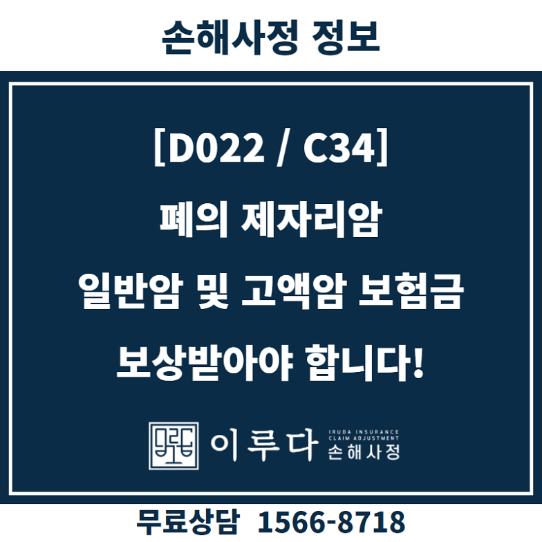 폐암원소D022 일반암진단비 적정심사 폐암원소D022 일반암진단비 적정심사