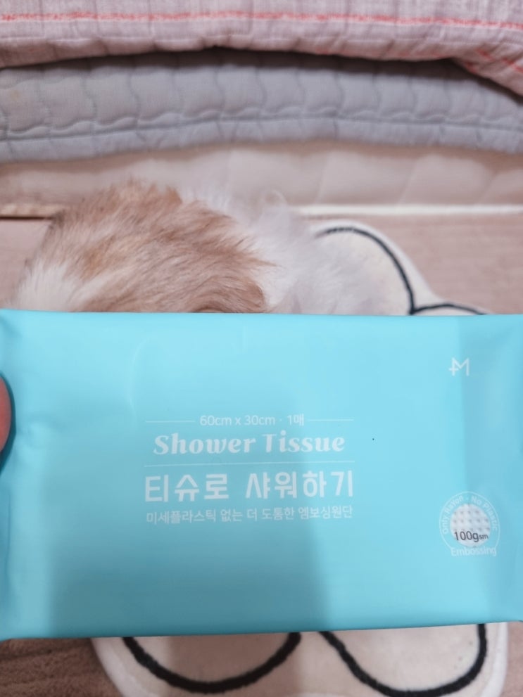  물없이 샤워하는 엠메이데이 샤워티슈 캠핑티슈 추천