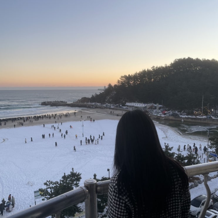  양양 여행 하조대해수욕장 오션뷰 숙소, 서피비치도 가까워요! :: [ 알프스비치 ]