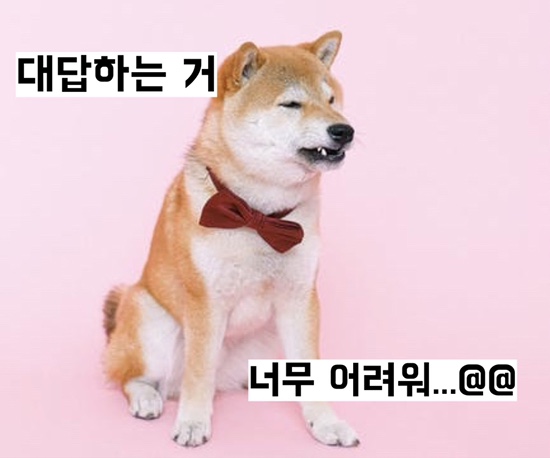  [아기랑 영어] All done, finished 차이,, 골고루 먹어 영어로