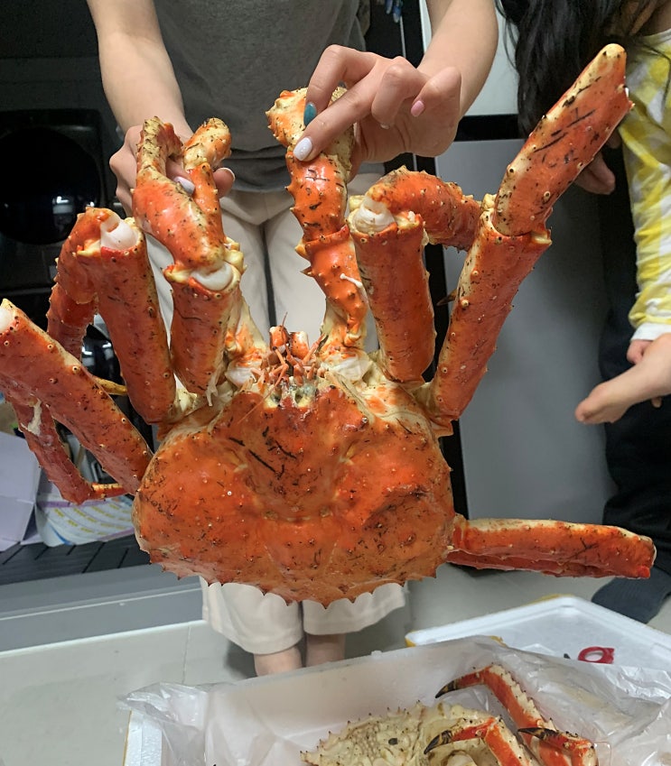  수원 농수산물시장) '태광물산' 킹크랩 구입후기(암,수 구별법/찜비용/수율) #내돈내산