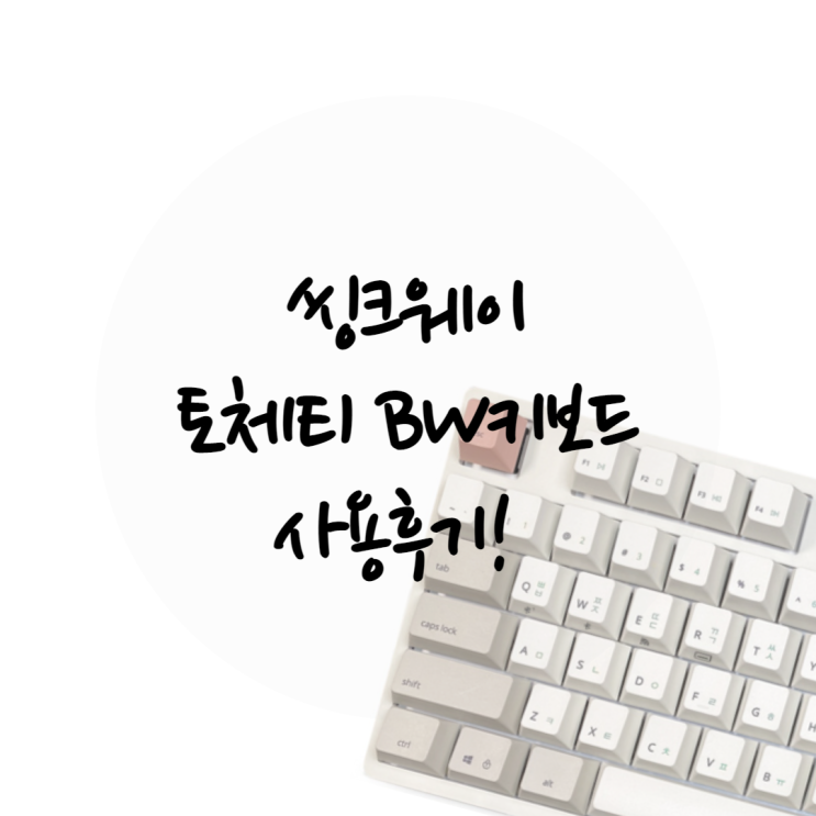 씽크웨이 토체티 BW 저소음적축 키보드 사용후기!