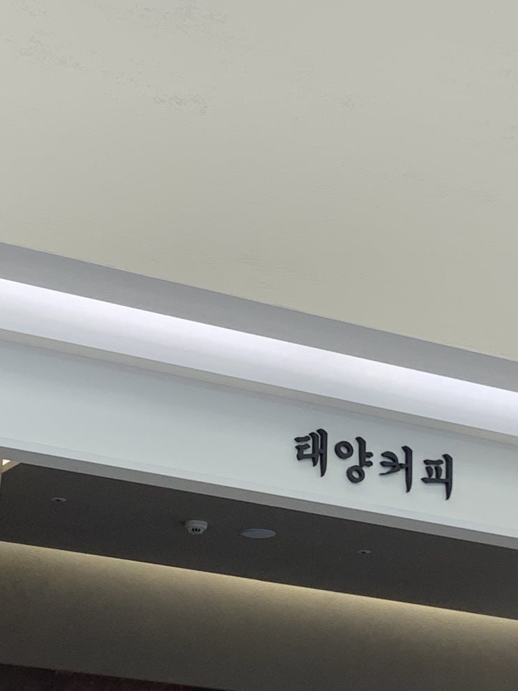  "태양 커피" 대전 신세계 엑스포점/아인슈페너 맛집