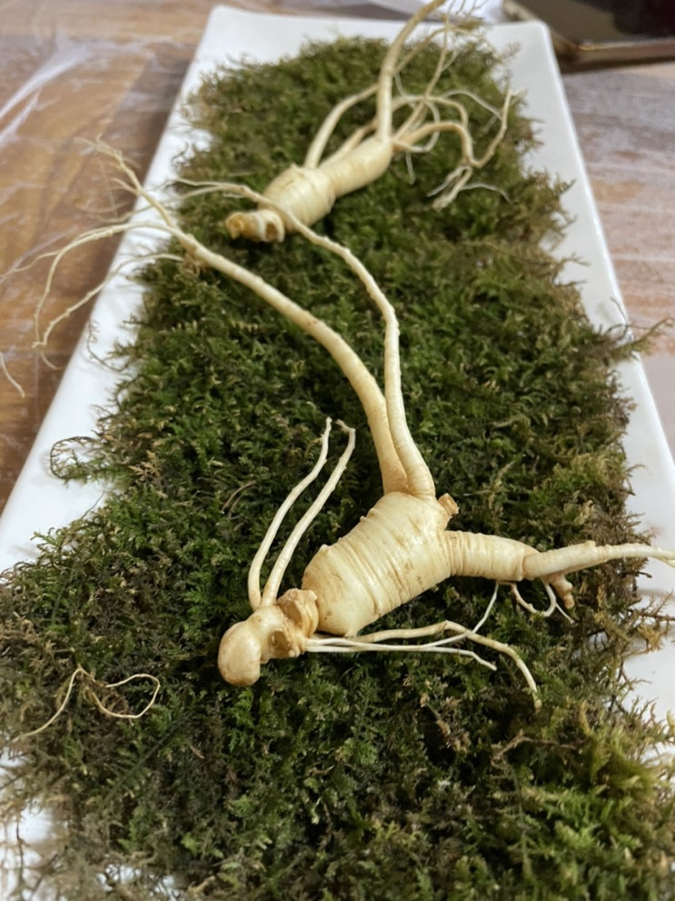  동학사 맛집 계룡산 맛집 오리 백숙 가막골 메밀전병