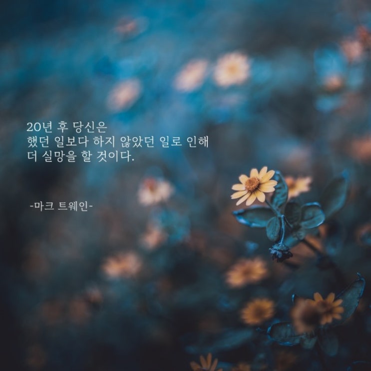  부거사이 [부동산 뉴스와 블로그] 1월 14일(금)