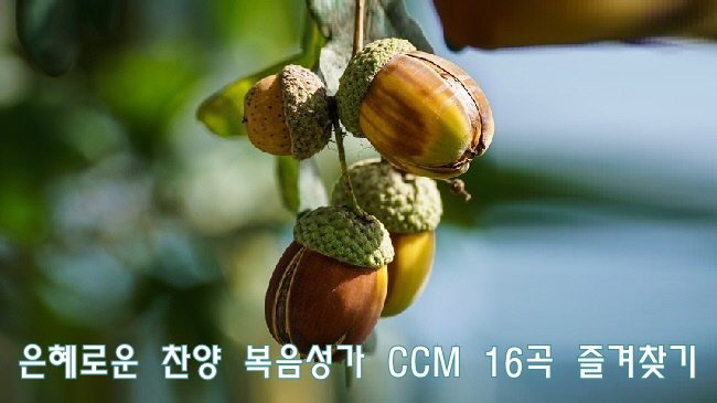  은혜로운 찬양 CCM 복음성가 즐겨찾기 16곡