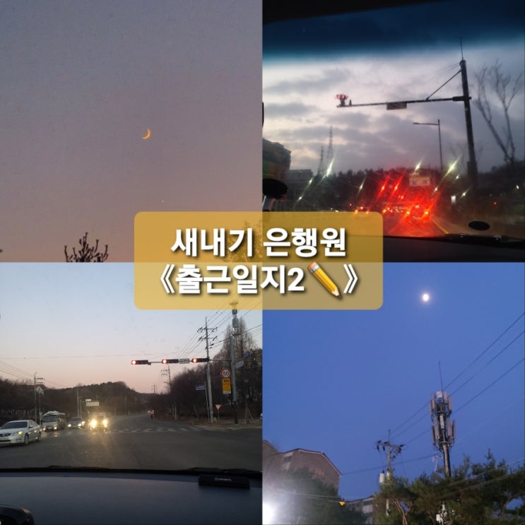  새내기 은행원 우당탕탕 적응기《둘째주 출근일지》