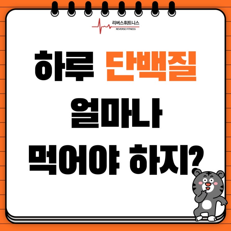  하루 단백질 섭취량? 신장동 헬스장 리버스휘트니스에서 알려드립니다!