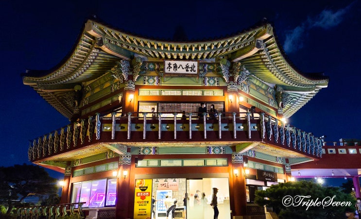  [후기] 서울 북악스카이웨이 방문 후기! 서울 드라이브코스 추천! 사계절 드라이브하기 좋은 곳!