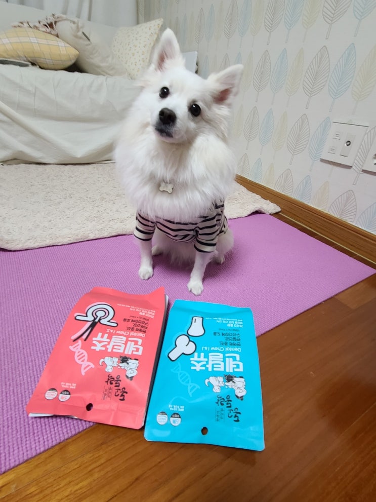  맛과 건강을 동시에!! 강아지영양간식!! 개껌추천~ 동고동락 덴탈츄~ 댕댕이건강간식!!