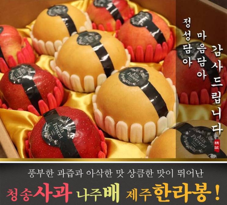  빛깔고운 설 선물세트 과일 3종 !