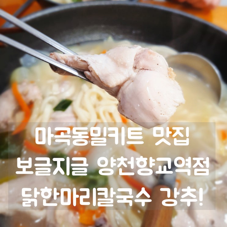 마곡동밀키트 [보글지글 양천향교역점] 닭한마리칼국수 밀키트 맛집일세~!