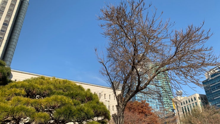  사실혼이혼재산분할 ? 전문 변호사가 알려드립니다.