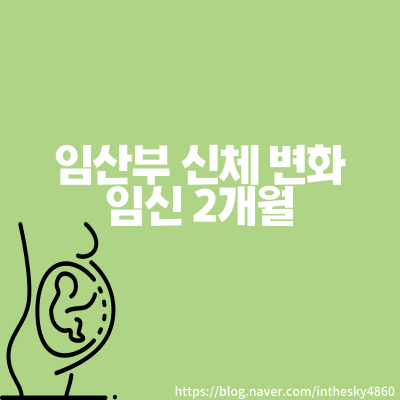  임산부 신체 변화 - 임신초기 2개월, 이 때 먹으면 좋은 음식
