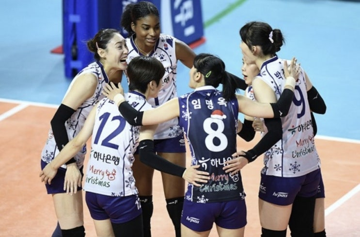 KOVO 프로배구 16일 국내 남자배구 KB손해보험 한국전력 여자배구 도로공사 KGC인삼공사 KOVO 프로배구 16일 국내 남자배구 KB손해보험 한국전력 여자배구 도로공사 KGC인삼공사