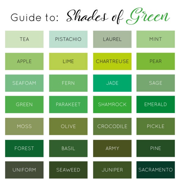  요즘 빠진 색깔: 싱그러운 초록색 Green outfits 모음집 | 세이지 그린, 에메랄드 그린 | 녹색•초록색 패션c