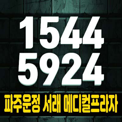 파주운정 동패동 서래메디컬 프라자상가 분양가 및 홍보관 예약 운정3지구 소식! 파주운정 동패동 서래메디컬 프라자상가 분양가 및 홍보관 예약 운정3지구 소식!
