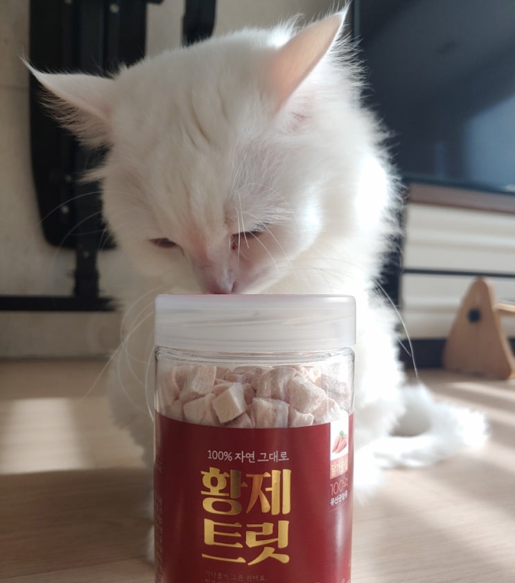  어바웃펫 황제트릿 동결건조 닭가슴살로 유산균 챙기세요