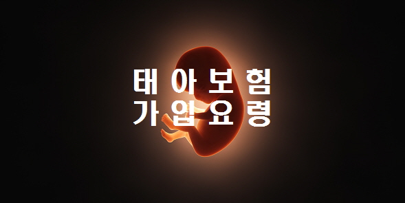  태아보험 가입하기요령 태아보험은 건강보험