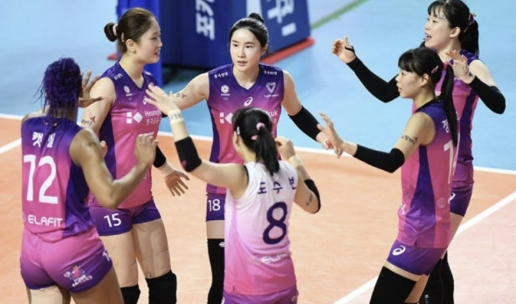 KOVO 프로배구 15일 국내 남자배구 우리카드 OK금융그룹 여자배구 흥국생명 IBK기업은행 KOVO 프로배구 15일 국내 남자배구 우리카드 OK금융그룹 여자배구 흥국생명 IBK기업은행