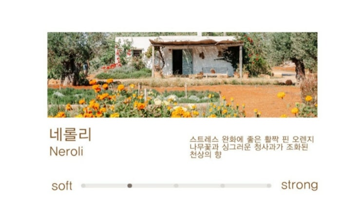  20살 졸업 선물 - 아씨방앗간 센트 서라운드 디퓨져 후기