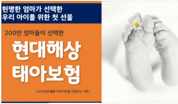  태아보험 가입시기 기형아검사하기전에 서둘러야