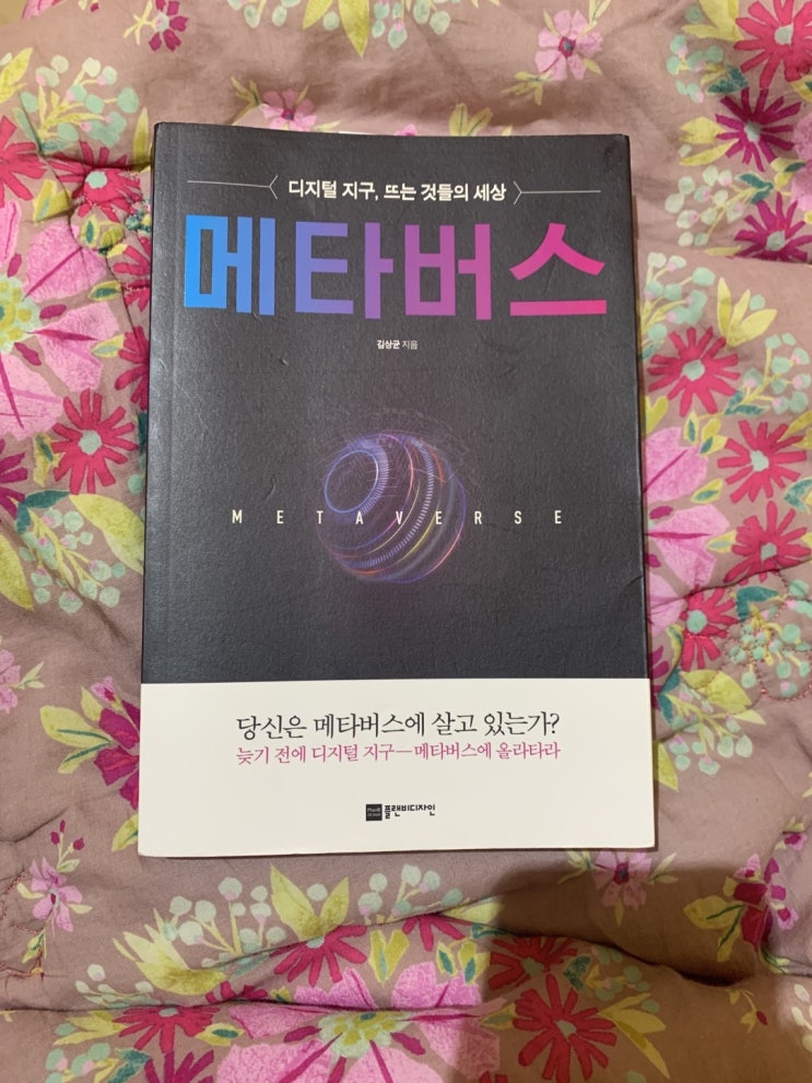  메타버스