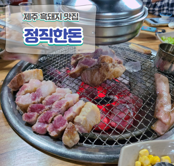  제주 흑돼지는 여기!! 인생 돼지가 여기 있었네...[정직한돈] 내돈내산 강추