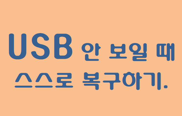  USB파일 안보일때 스스로 복구하는 방법