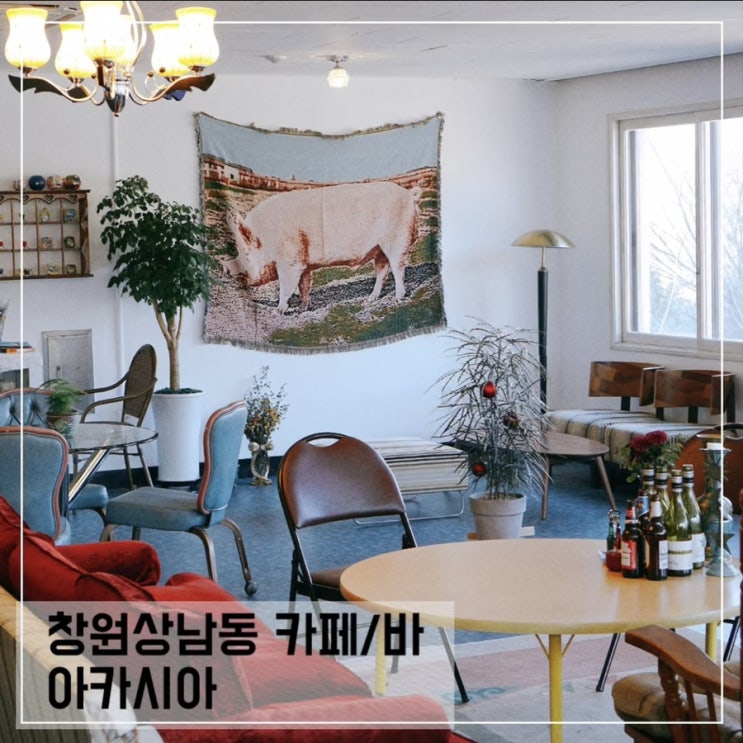  창원상남동 신상카페 아카시아; 창원상남동 와인바