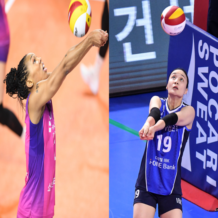 여자배구 흥국생명 IBK기업은행 1월 15일 경기예상(캣벨 김미연 이주아 표승주 산타나 이진)