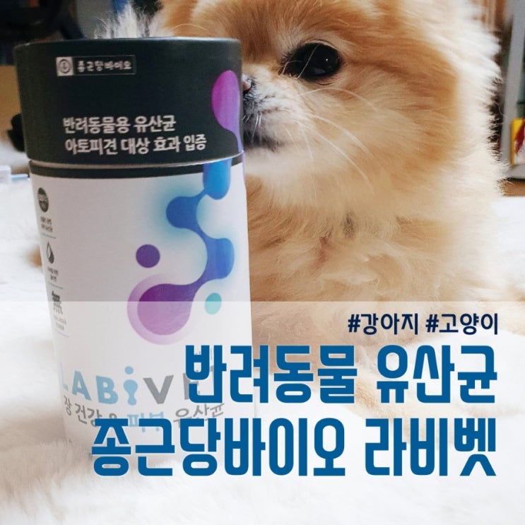  강아지 관절을 위한 유산균 추천: 종근당바이오 라비벳